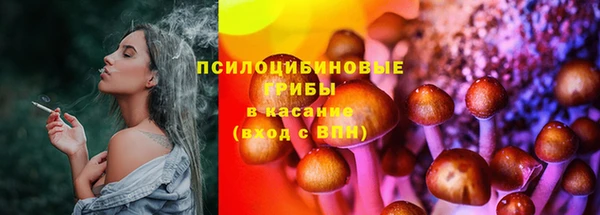 винт Осинники